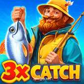 3x Catch Game Image